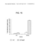 YEAST CELL WALL PARTICLES FOR RECEPTOR-TARGETED NANOPARTICLE DELIVERY diagram and image