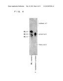 ACTIVATOR INCLUDING BIOSURFACTANT AS ACTIVE INGREDIENT, MANNOSYL     ERYTHRITOL LIPID, AND PRODUCTION METHOD THEREOF diagram and image