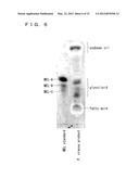 ACTIVATOR INCLUDING BIOSURFACTANT AS ACTIVE INGREDIENT, MANNOSYL     ERYTHRITOL LIPID, AND PRODUCTION METHOD THEREOF diagram and image