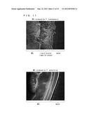 ACTIVATOR INCLUDING BIOSURFACTANT AS ACTIVE INGREDIENT, MANNOSYL     ERYTHRITOL LIPID, AND PRODUCTION METHOD THEREOF diagram and image