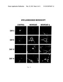 Therapy for Promoting Cell Growth diagram and image