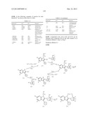 TETRACYCLIC FUSED HETEROCYCLIC COMPOUND AND USE THEREOF AS HCV POLYMERASE     INHIBITOR diagram and image