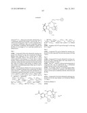 TETRACYCLIC FUSED HETEROCYCLIC COMPOUND AND USE THEREOF AS HCV POLYMERASE     INHIBITOR diagram and image