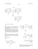 TETRACYCLIC FUSED HETEROCYCLIC COMPOUND AND USE THEREOF AS HCV POLYMERASE     INHIBITOR diagram and image