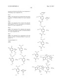 TETRACYCLIC FUSED HETEROCYCLIC COMPOUND AND USE THEREOF AS HCV POLYMERASE     INHIBITOR diagram and image