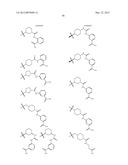 TETRACYCLIC FUSED HETEROCYCLIC COMPOUND AND USE THEREOF AS HCV POLYMERASE     INHIBITOR diagram and image