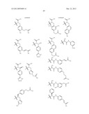 TETRACYCLIC FUSED HETEROCYCLIC COMPOUND AND USE THEREOF AS HCV POLYMERASE     INHIBITOR diagram and image