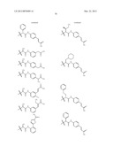 TETRACYCLIC FUSED HETEROCYCLIC COMPOUND AND USE THEREOF AS HCV POLYMERASE     INHIBITOR diagram and image