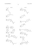 TETRACYCLIC FUSED HETEROCYCLIC COMPOUND AND USE THEREOF AS HCV POLYMERASE     INHIBITOR diagram and image