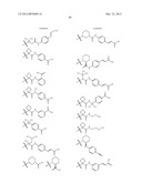 TETRACYCLIC FUSED HETEROCYCLIC COMPOUND AND USE THEREOF AS HCV POLYMERASE     INHIBITOR diagram and image