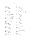 TETRACYCLIC FUSED HETEROCYCLIC COMPOUND AND USE THEREOF AS HCV POLYMERASE     INHIBITOR diagram and image