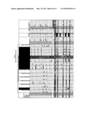 Mutations on OAS1 Genes diagram and image