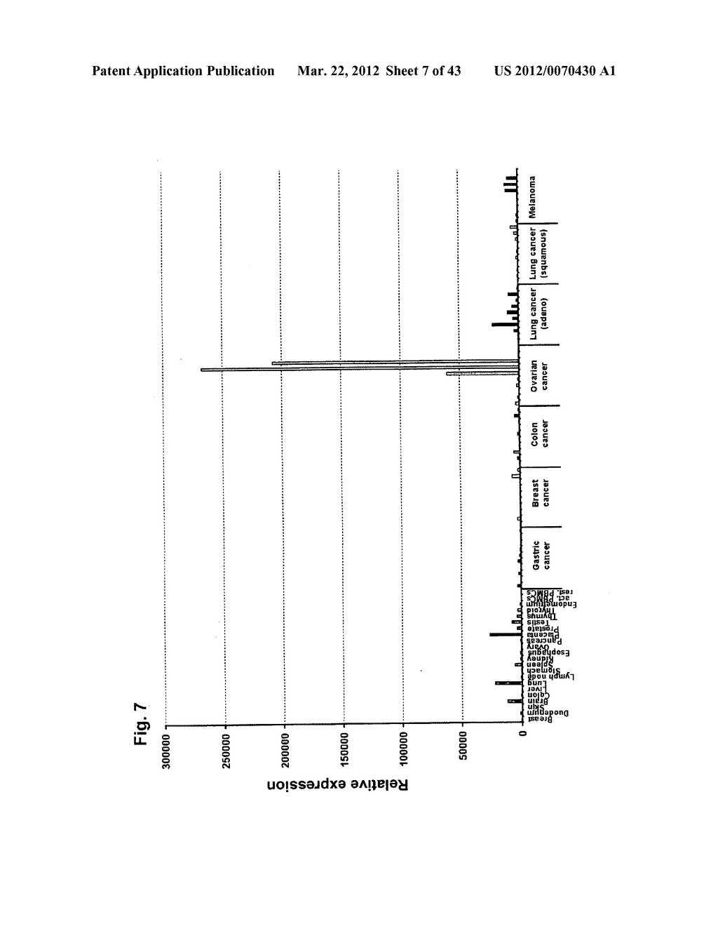 IDENTIFICATION OF TUMOR-ASSOCIATED MARKERS FOR DIAGNOSIS AND THERAPY - diagram, schematic, and image 08