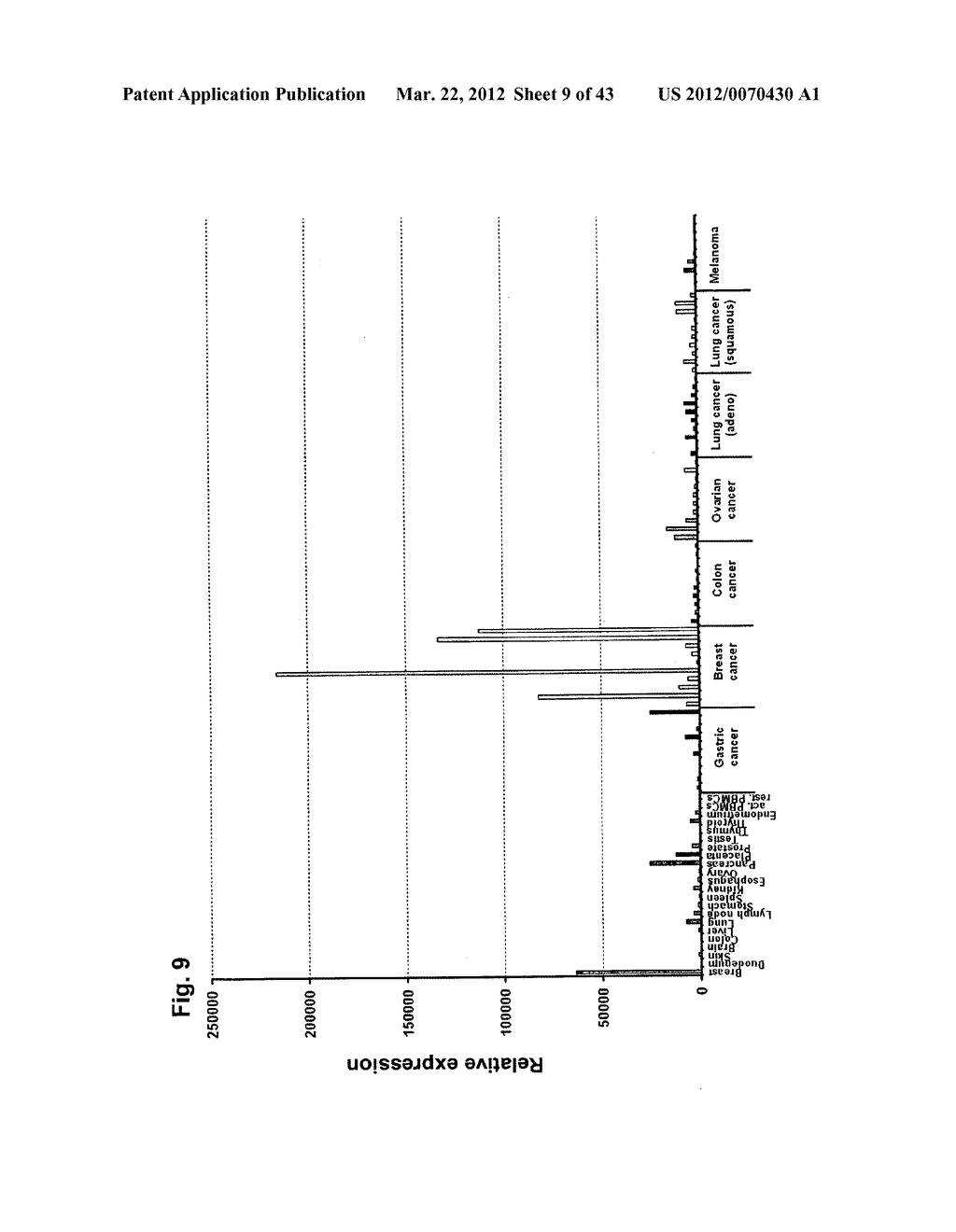 IDENTIFICATION OF TUMOR-ASSOCIATED MARKERS FOR DIAGNOSIS AND THERAPY - diagram, schematic, and image 10