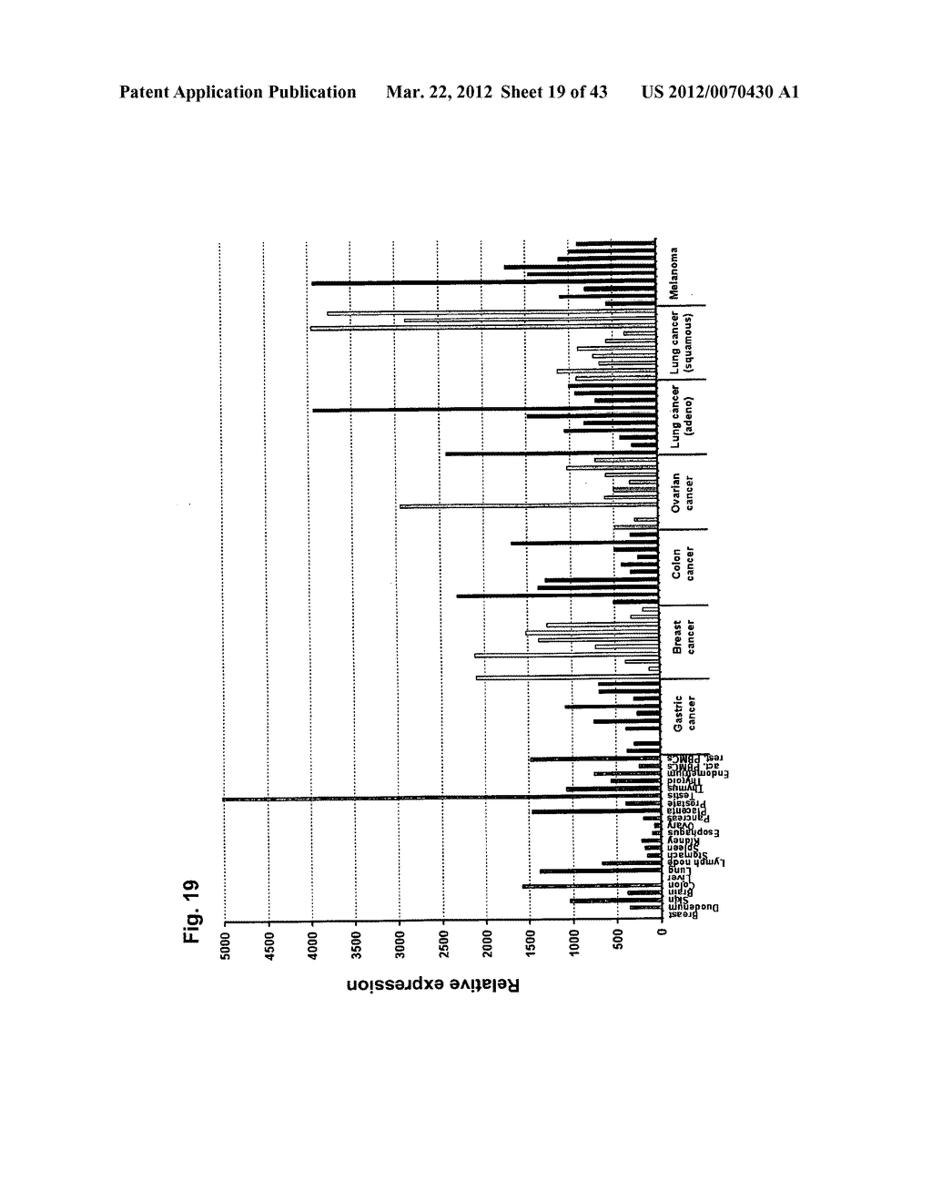 IDENTIFICATION OF TUMOR-ASSOCIATED MARKERS FOR DIAGNOSIS AND THERAPY - diagram, schematic, and image 20