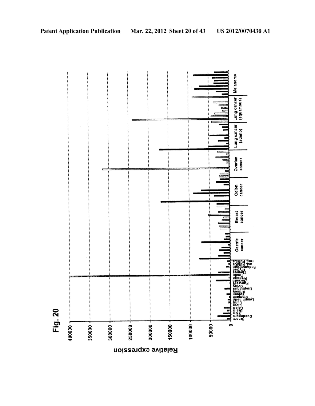 IDENTIFICATION OF TUMOR-ASSOCIATED MARKERS FOR DIAGNOSIS AND THERAPY - diagram, schematic, and image 21