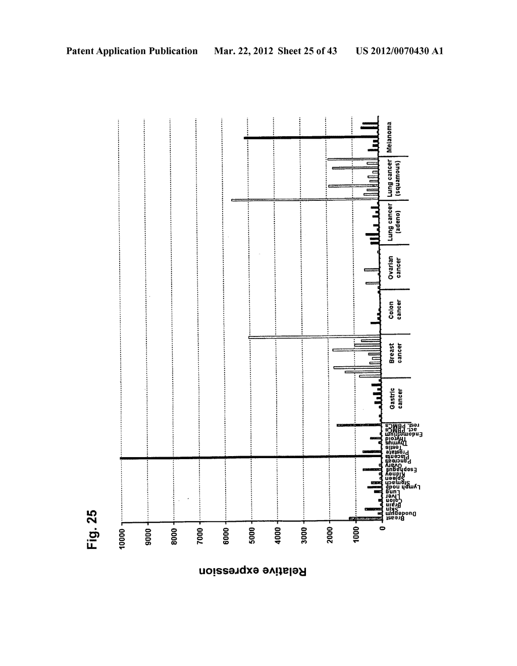 IDENTIFICATION OF TUMOR-ASSOCIATED MARKERS FOR DIAGNOSIS AND THERAPY - diagram, schematic, and image 26