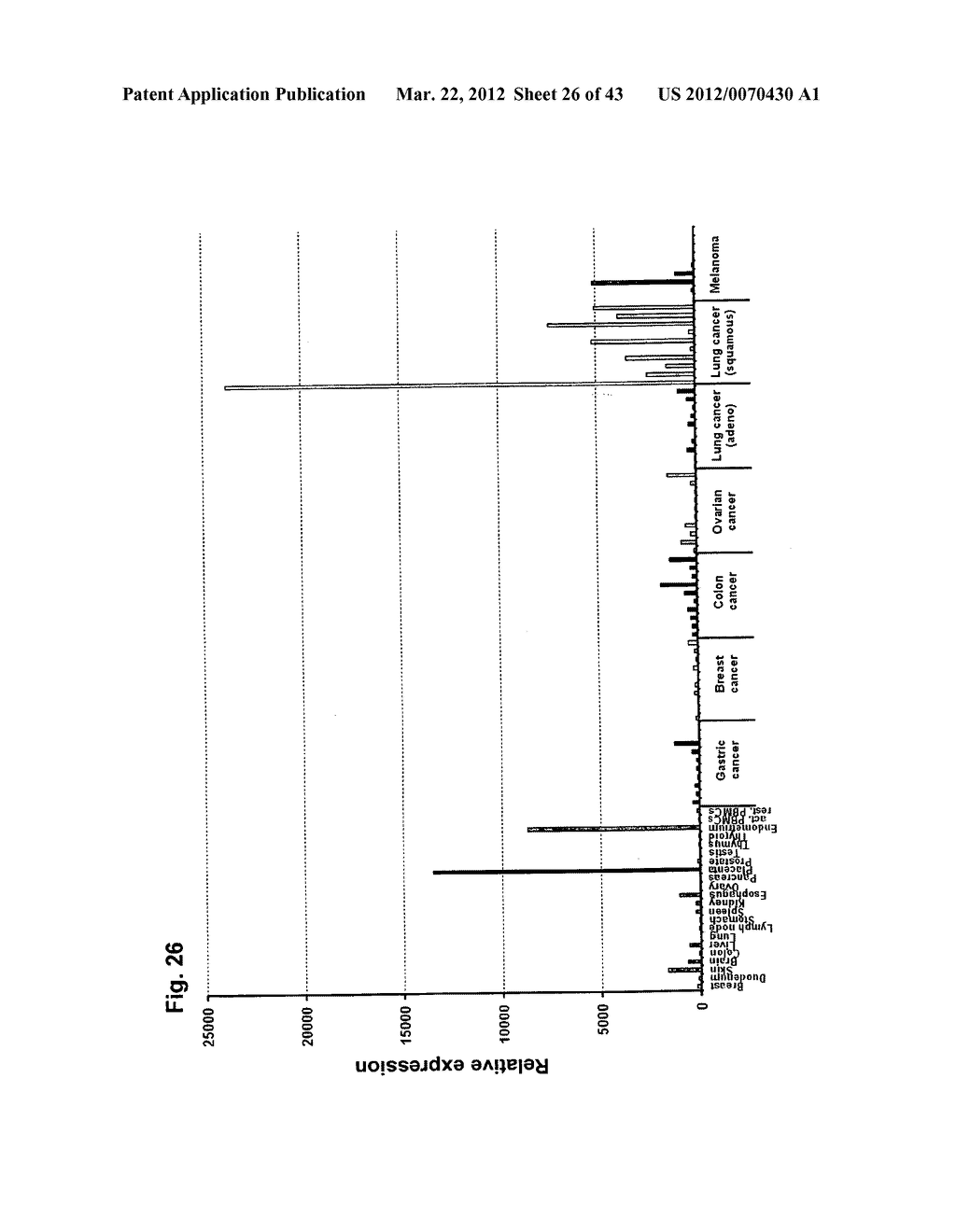 IDENTIFICATION OF TUMOR-ASSOCIATED MARKERS FOR DIAGNOSIS AND THERAPY - diagram, schematic, and image 27