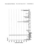 IDENTIFICATION OF TUMOR-ASSOCIATED MARKERS FOR DIAGNOSIS AND THERAPY diagram and image