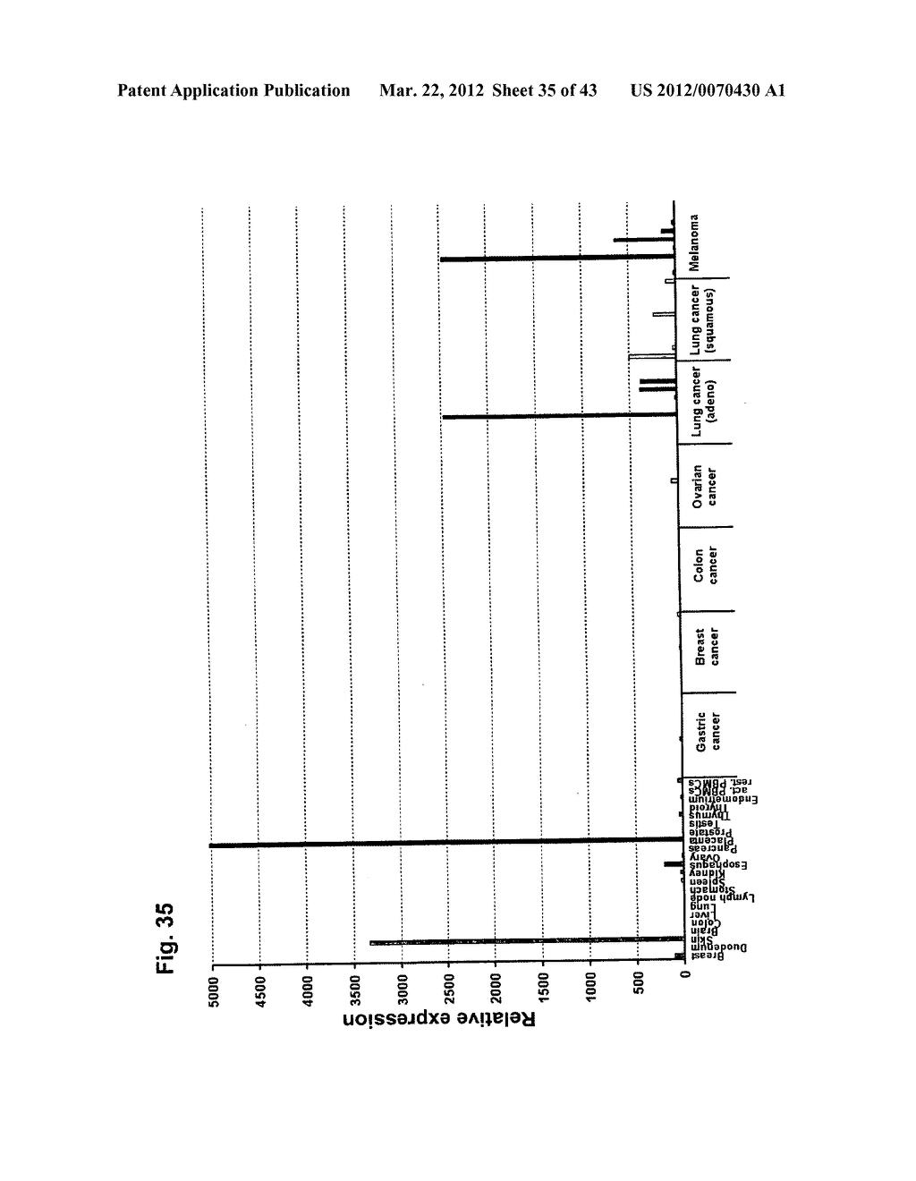 IDENTIFICATION OF TUMOR-ASSOCIATED MARKERS FOR DIAGNOSIS AND THERAPY - diagram, schematic, and image 36