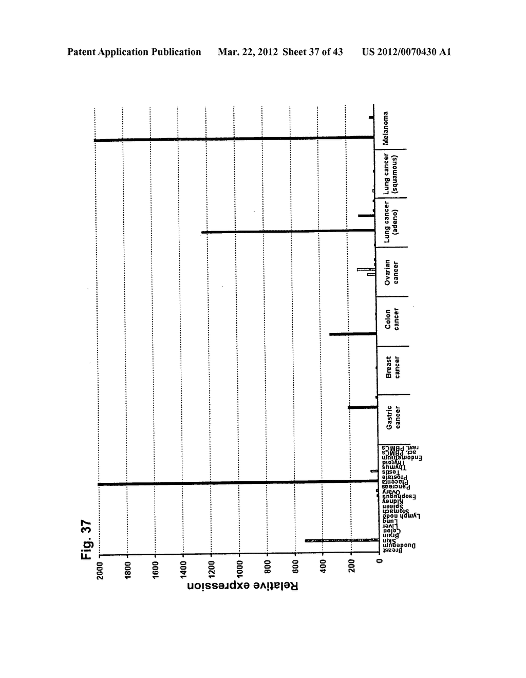 IDENTIFICATION OF TUMOR-ASSOCIATED MARKERS FOR DIAGNOSIS AND THERAPY - diagram, schematic, and image 38