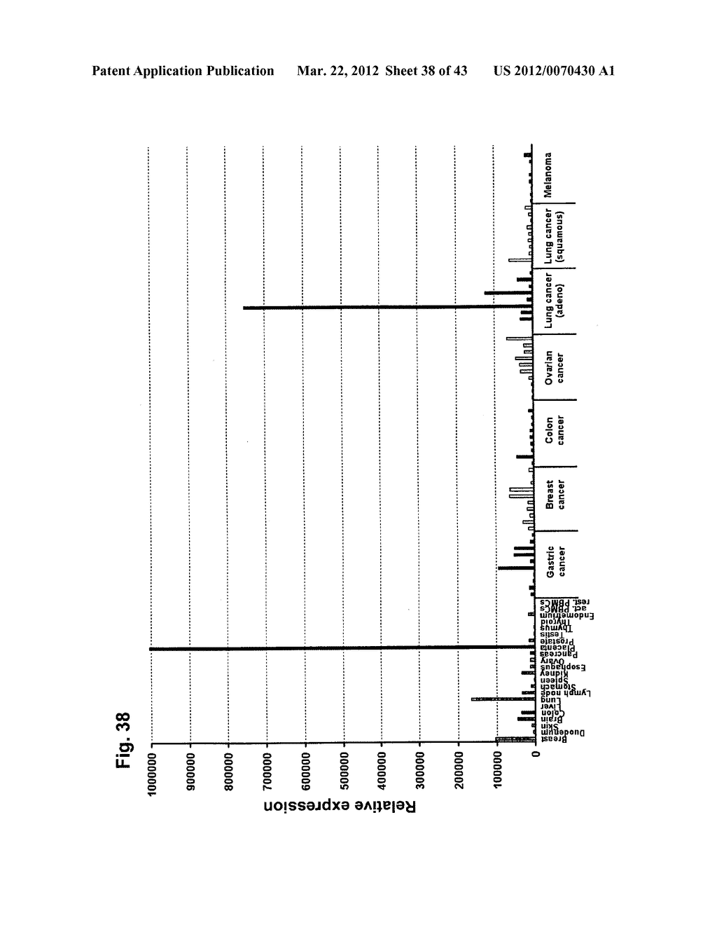 IDENTIFICATION OF TUMOR-ASSOCIATED MARKERS FOR DIAGNOSIS AND THERAPY - diagram, schematic, and image 39