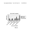 METHODS AND COMPOSITIONS FOR TREATING CANCER diagram and image