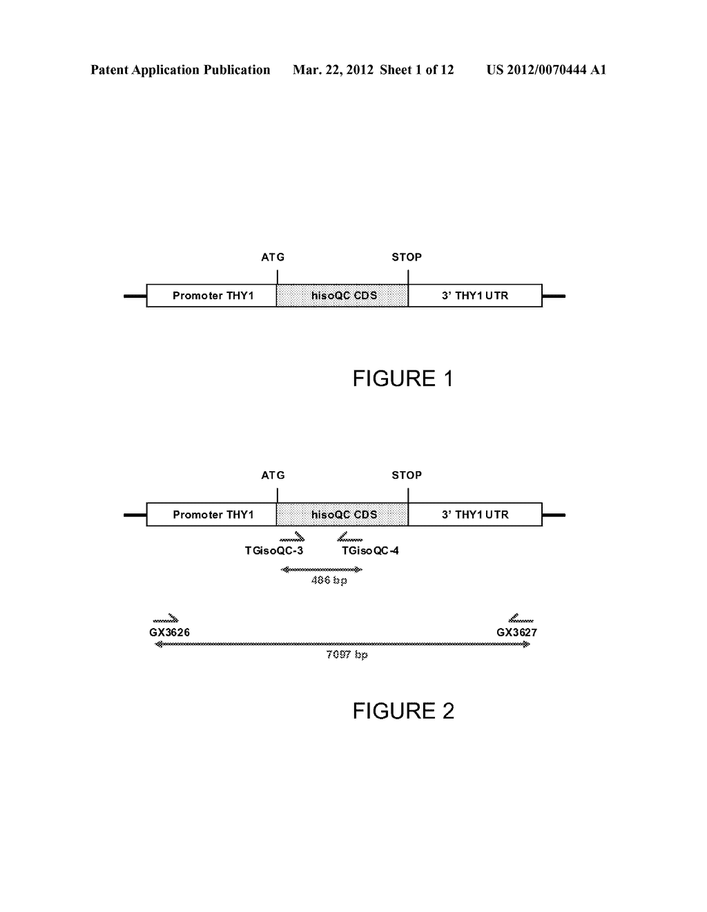 IN VIVO SCREENING MODELS FOR TREATMENT OF isoQC-RELATED DISORDERS - diagram, schematic, and image 02