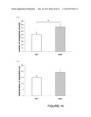 IN VIVO SCREENING MODELS FOR TREATMENT OF isoQC-RELATED DISORDERS diagram and image