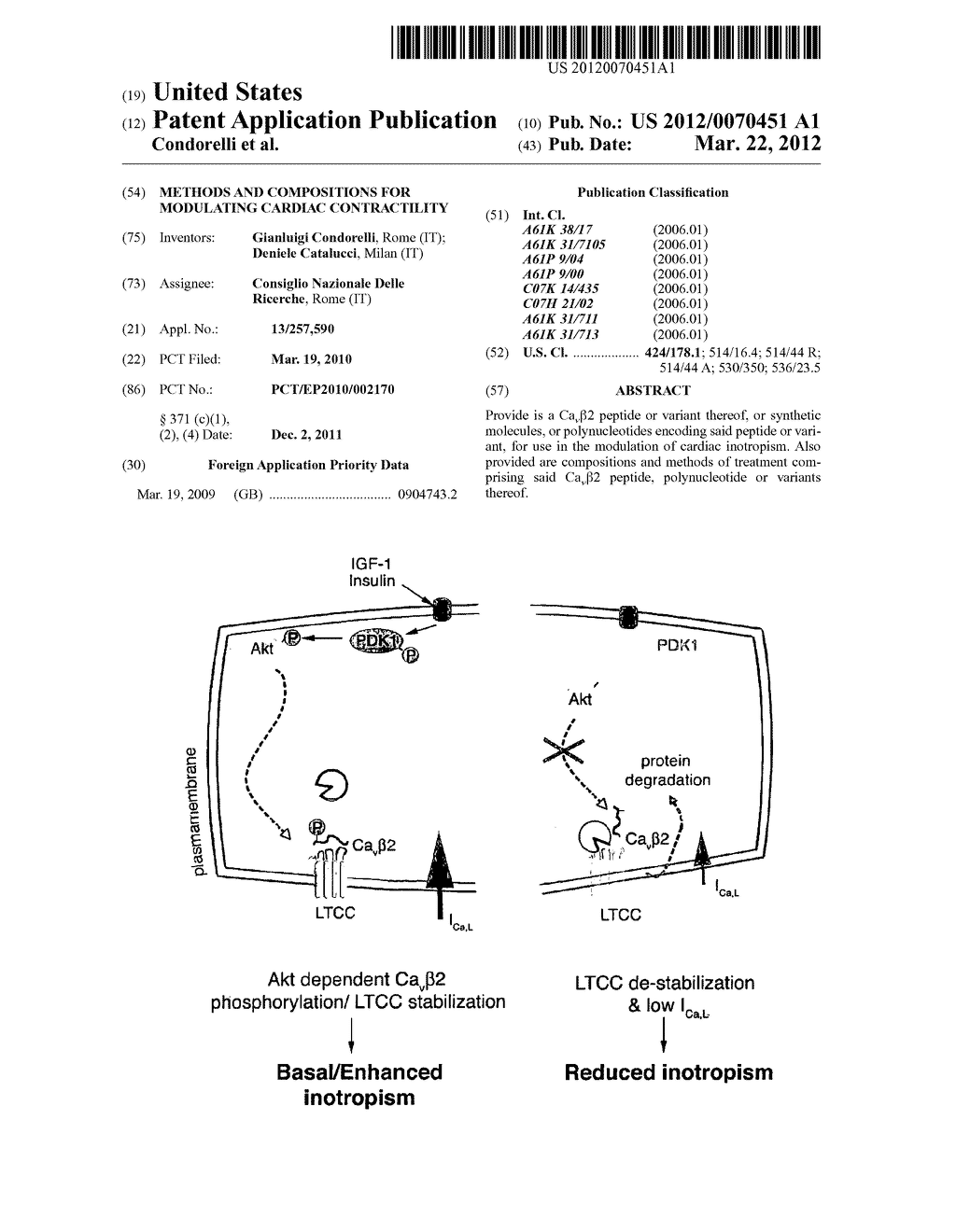 METHODS AND COMPOSITIONS FOR MODULATING CARDIAC CONTRACTILITY - diagram, schematic, and image 01