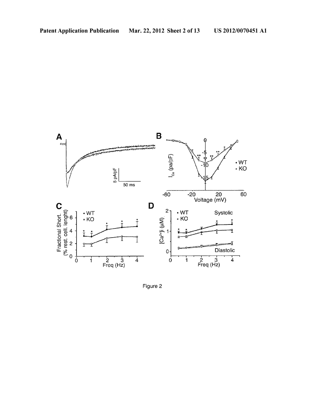 METHODS AND COMPOSITIONS FOR MODULATING CARDIAC CONTRACTILITY - diagram, schematic, and image 03