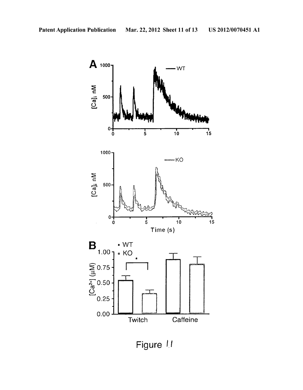 METHODS AND COMPOSITIONS FOR MODULATING CARDIAC CONTRACTILITY - diagram, schematic, and image 12