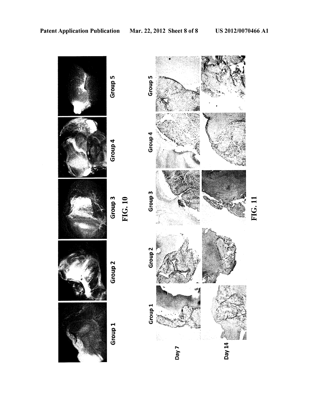 Conjugated Polymeric Material and Uses Thereof - diagram, schematic, and image 09