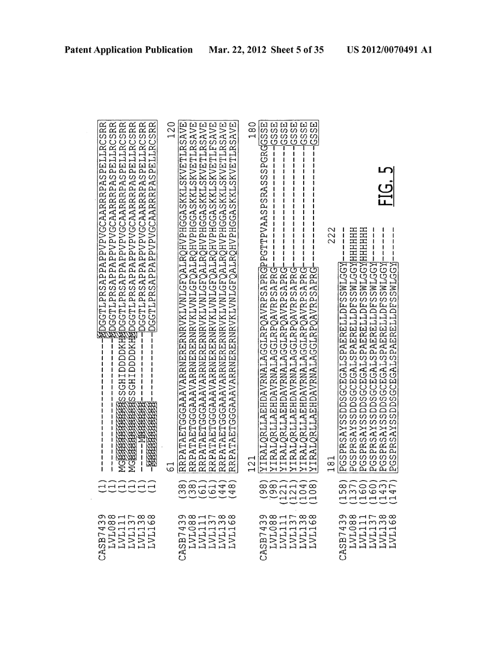 CASB7439 CONSTRUCTS - diagram, schematic, and image 06