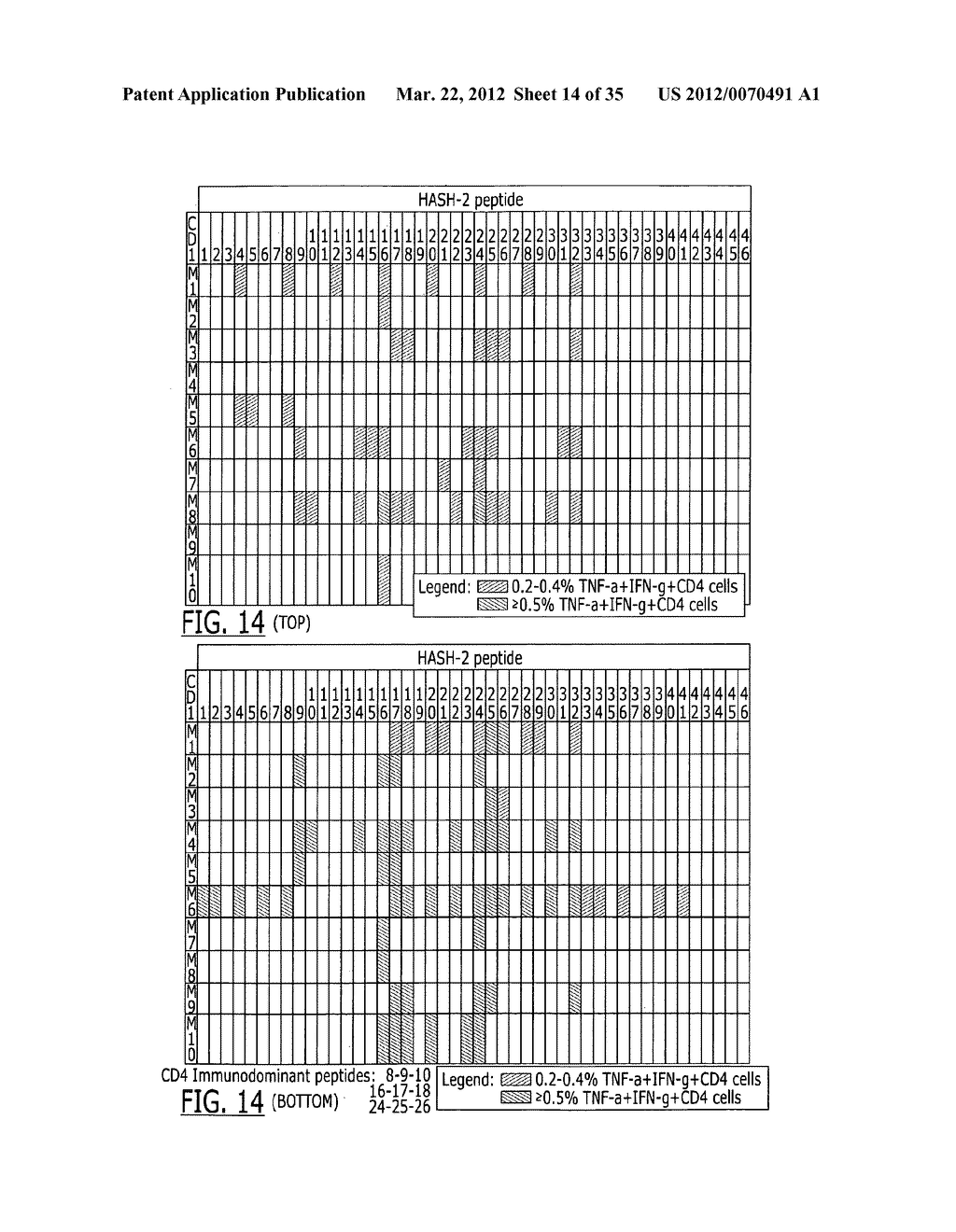 CASB7439 CONSTRUCTS - diagram, schematic, and image 15