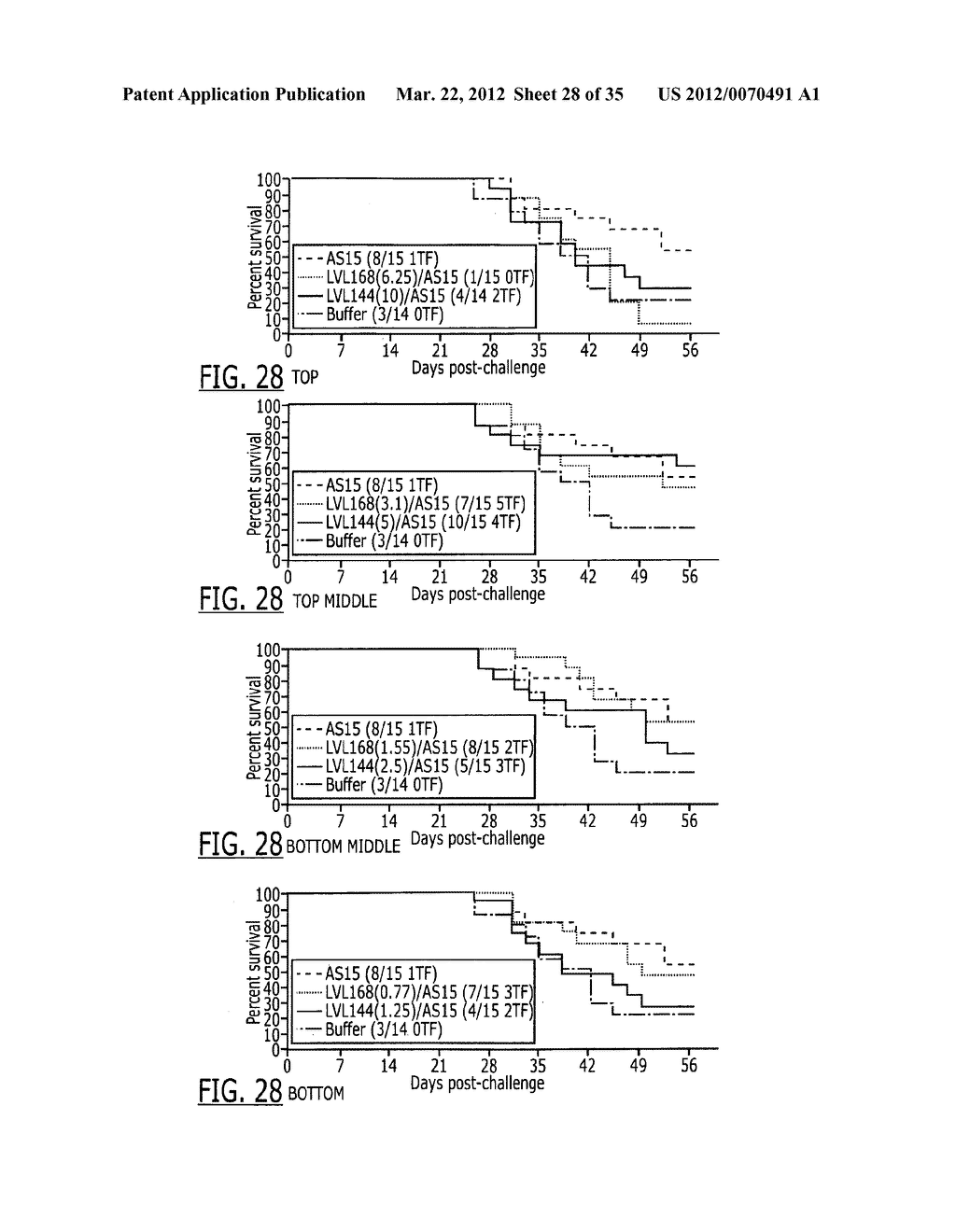 CASB7439 CONSTRUCTS - diagram, schematic, and image 29