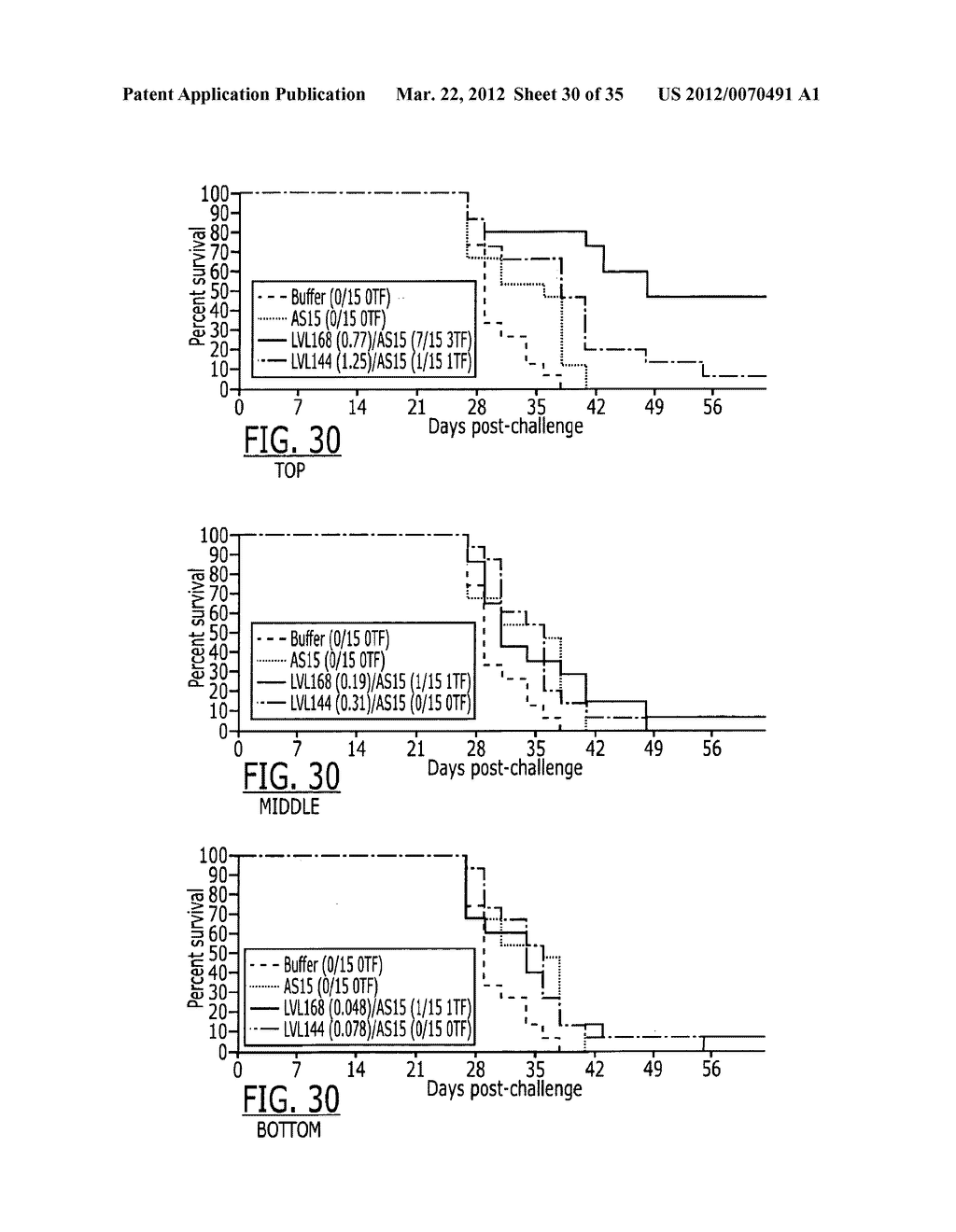 CASB7439 CONSTRUCTS - diagram, schematic, and image 31