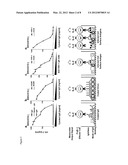 Determination of Interactions of Constant Parts of Antibodies with     FC-Gamma Receptors diagram and image