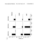 Determination of Interactions of Constant Parts of Antibodies with     FC-Gamma Receptors diagram and image