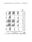 Determination of Interactions of Constant Parts of Antibodies with     FC-Gamma Receptors diagram and image