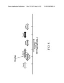 Probes and Methods for Hepatitis C Virus Typing Using Multidimensional     Probe Analysis diagram and image