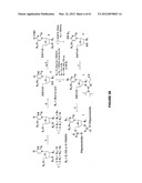 Novel Compounds and Derivatizations of DNAs and RNAs on the Nucleobases of     Pyrimidines for Function, Structure and Therapeutics diagram and image