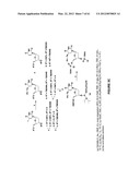 Novel Compounds and Derivatizations of DNAs and RNAs on the Nucleobases of     Pyrimidines for Function, Structure and Therapeutics diagram and image