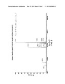 Novel Compounds and Derivatizations of DNAs and RNAs on the Nucleobases of     Pyrimidines for Function, Structure and Therapeutics diagram and image