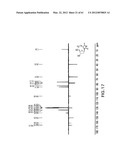 Novel Compounds and Derivatizations of DNAs and RNAs on the Nucleobases of     Pyrimidines for Function, Structure and Therapeutics diagram and image