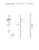 Novel Compounds and Derivatizations of DNAs and RNAs on the Nucleobases of     Pyrimidines for Function, Structure and Therapeutics diagram and image