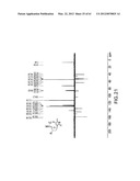 Novel Compounds and Derivatizations of DNAs and RNAs on the Nucleobases of     Pyrimidines for Function, Structure and Therapeutics diagram and image