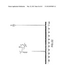 Novel Compounds and Derivatizations of DNAs and RNAs on the Nucleobases of     Pyrimidines for Function, Structure and Therapeutics diagram and image