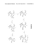 Novel Compounds and Derivatizations of DNAs and RNAs on the Nucleobases of     Pyrimidines for Function, Structure and Therapeutics diagram and image