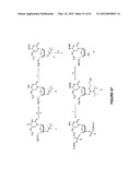 Novel Compounds and Derivatizations of DNAs and RNAs on the Nucleobases of     Pyrimidines for Function, Structure and Therapeutics diagram and image